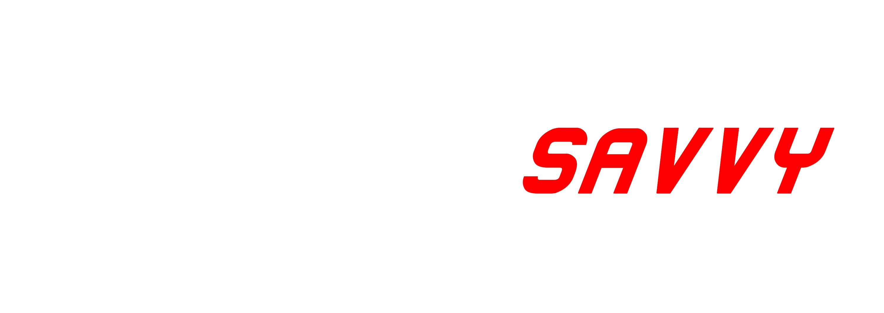 Sport Savvy logo